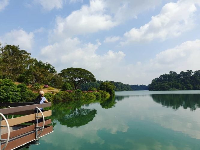 13 Nature Reserves & Parks In Singapore For And Scenic Walking Trails