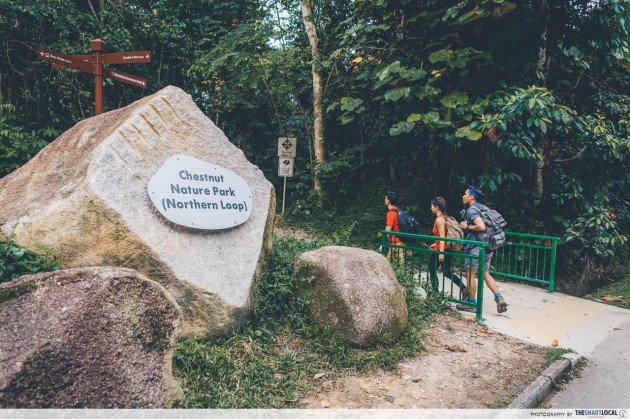 nature reserves and parks - chestnut nature park
