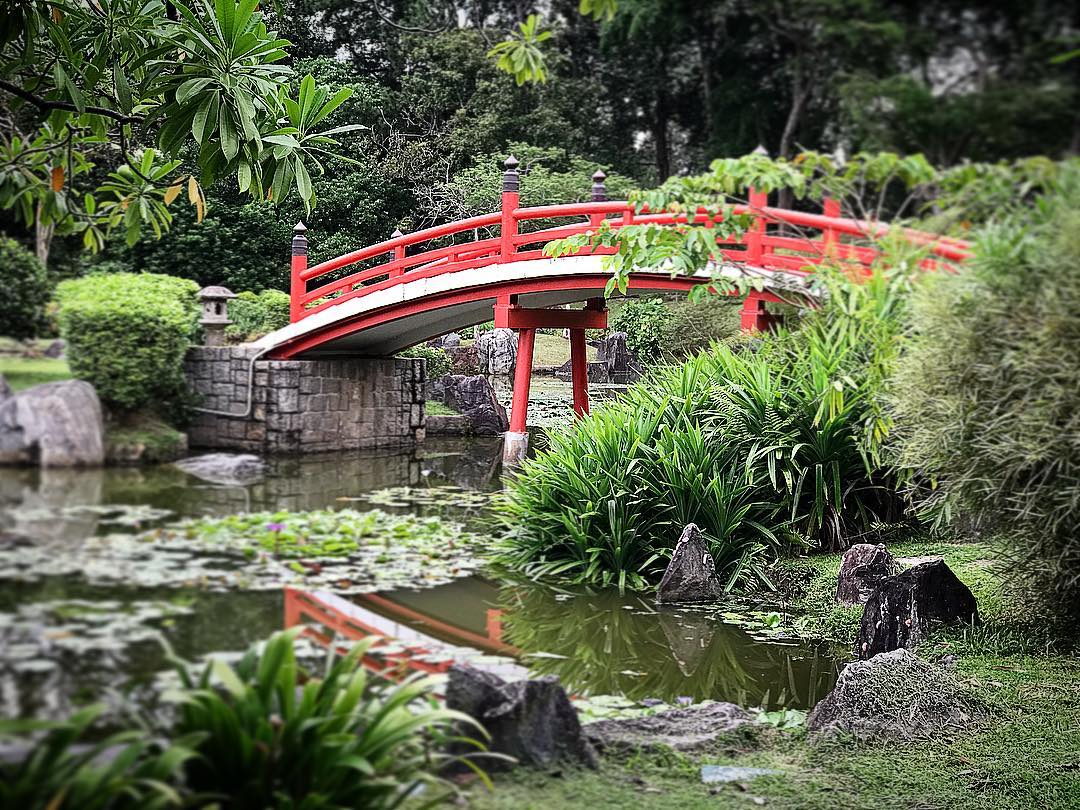 nature reserves and parks - japanese garden bridge
