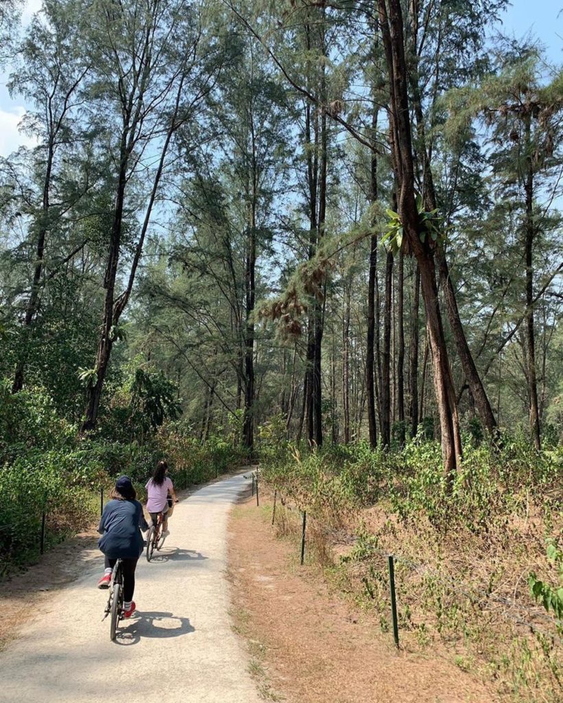 13 Nature Reserves & Parks In Singapore For And Scenic Walking Trails