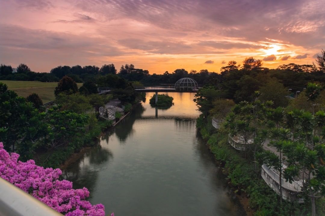 nature reserves and parks - sunset at punggol waterway park