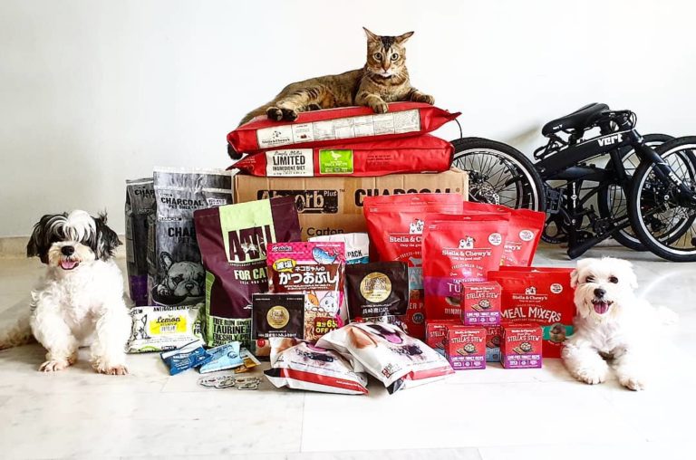 10 Online Pet Stores Based In Singapore With Delivery For Everything