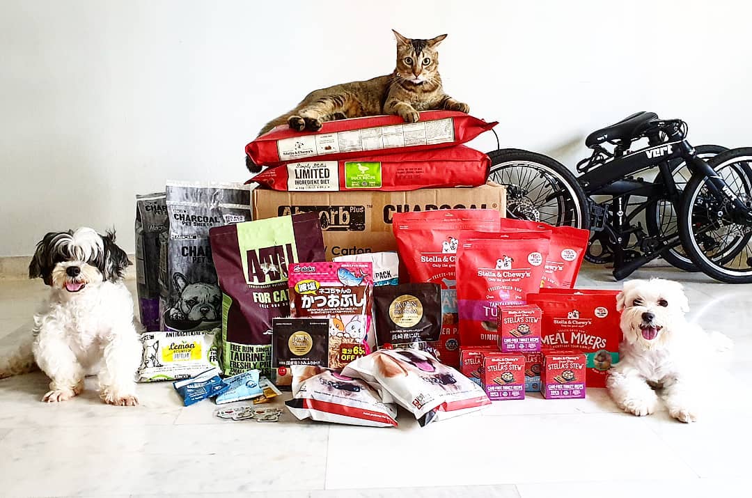 10 Online Pet Stores Based In Singapore With Delivery For Everything Your Furkid Needs nekojam