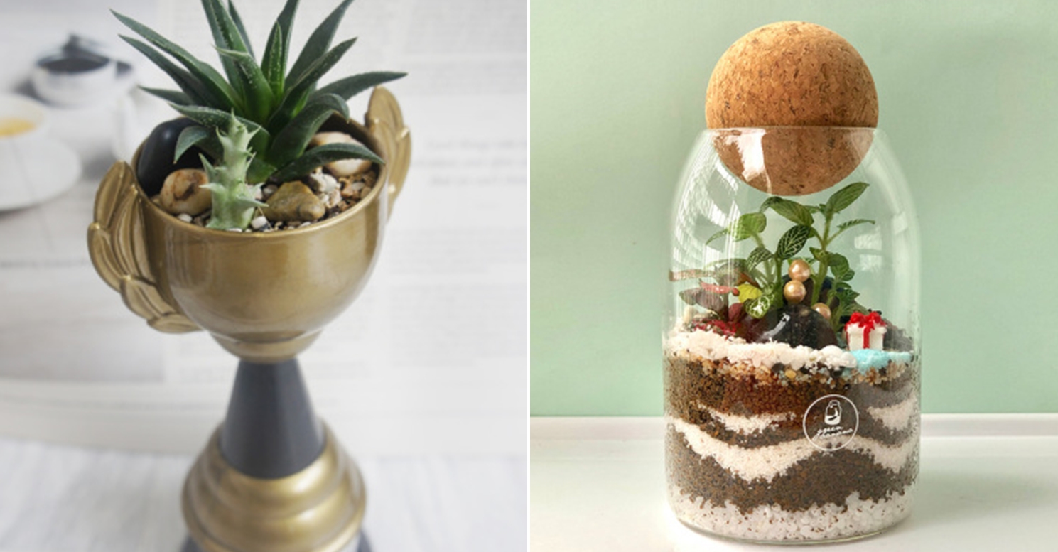 9 Places To Buy Cheap Terrariums In Singapore From Just 14.80