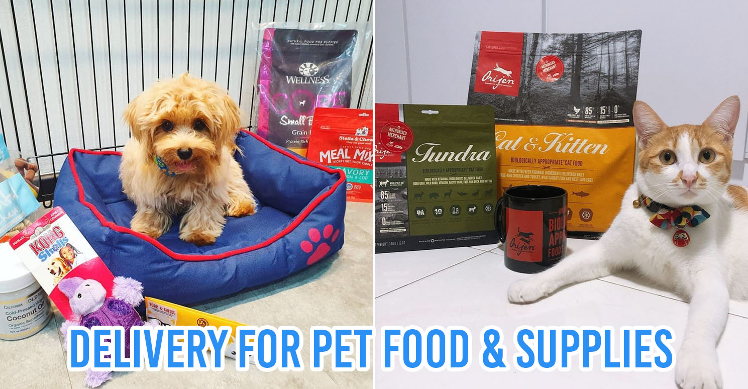 10 Online Pet Stores Based In Singapore With Delivery For Everything