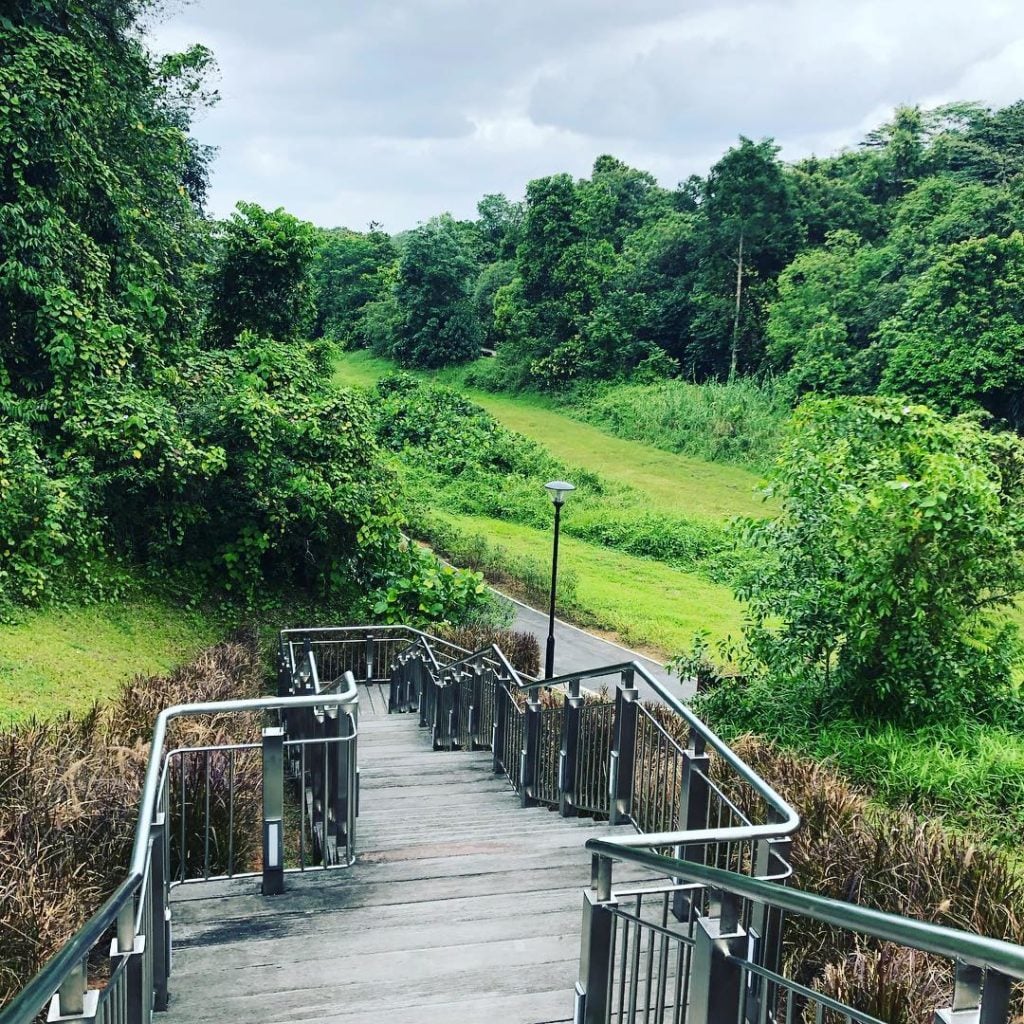 11 Perks Of Living At Bukit Panjang Nature Trails, GlowInTheDark