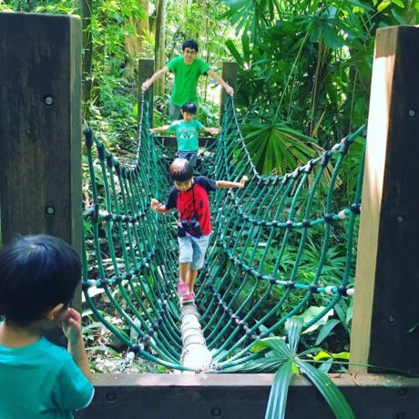 11 Perks Of Living At Bukit Panjang - Nature Trails, Glow-In-The-Dark ...