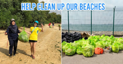 Beach cleanup groups in Singapore Green Nudge