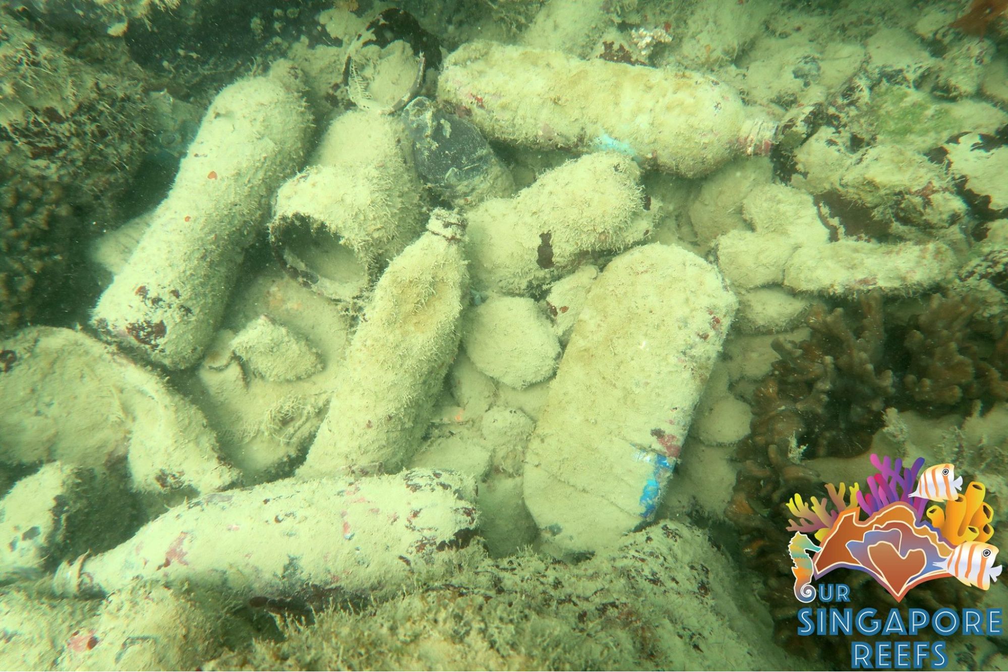 Cleanup groups to join in Singapore Our Singapore Reefs