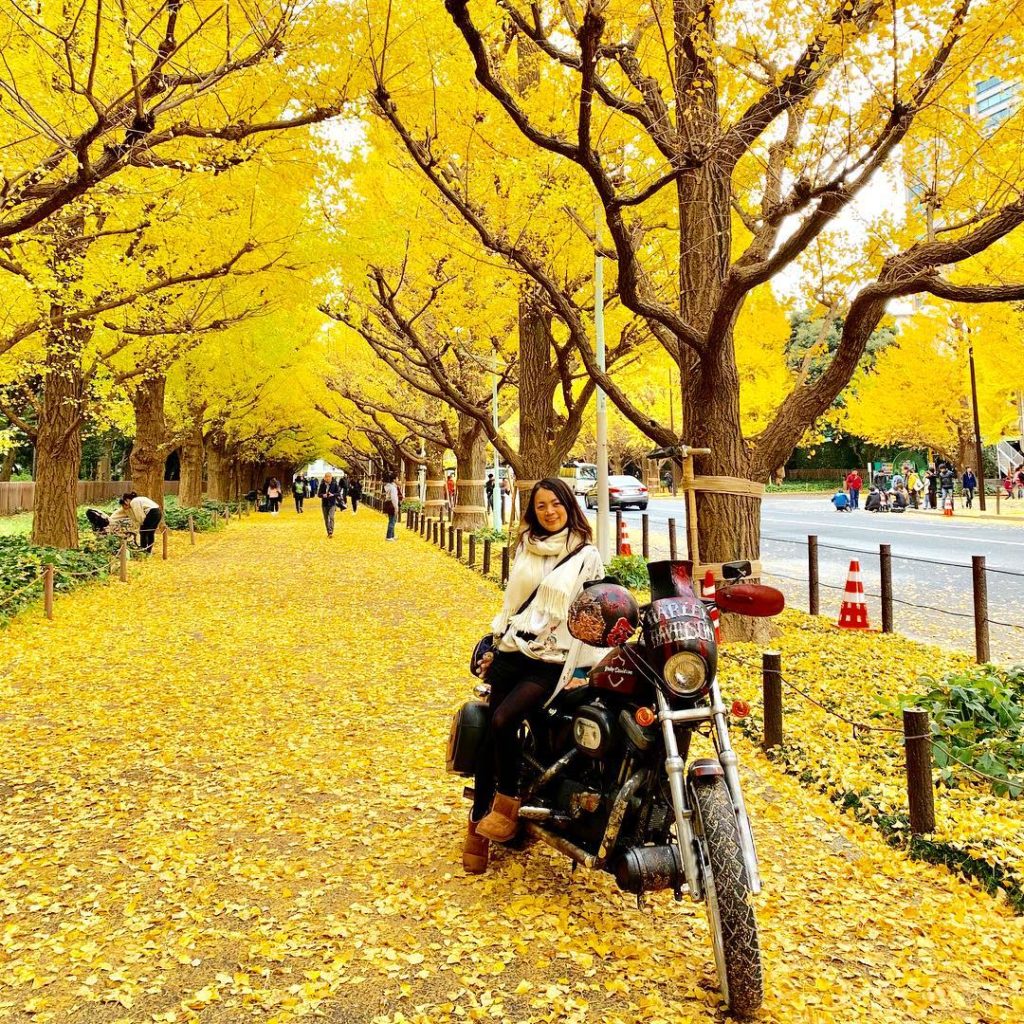 Autumn Leaves In Japan Guide To Best Spots To Visit In Oct & Nov 2019