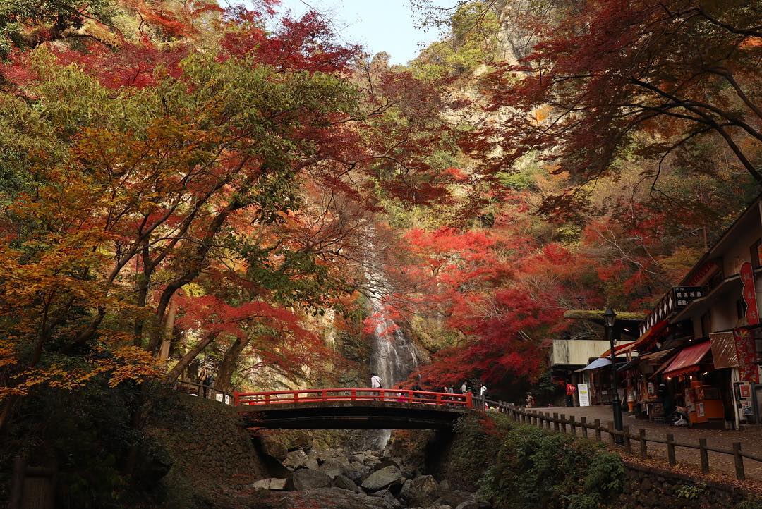 Autumn Japan 2019 osaka