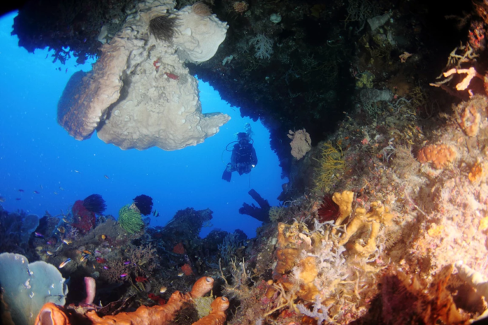 10 Lesser-Known Scuba Diving Spots In Indonesia That Are Not In Bali