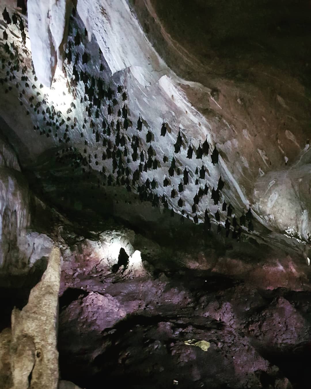 langkawi bat cave