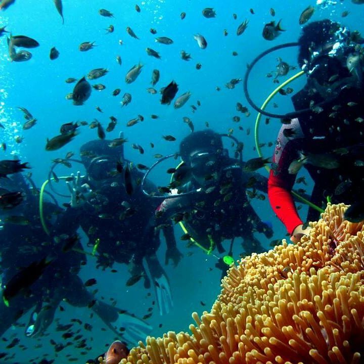 langkawi scuba diving