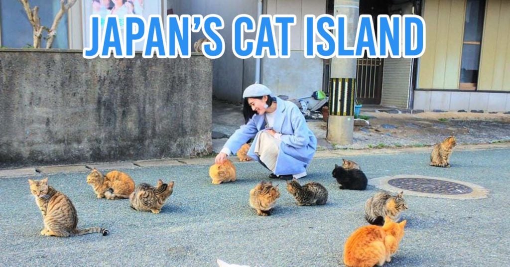 Things To Do At Fukuoka - The Venice Of Japan With Sakura & Cat Islands