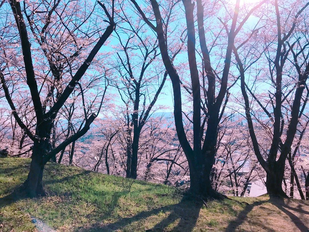 mountains tokyo hike spring
