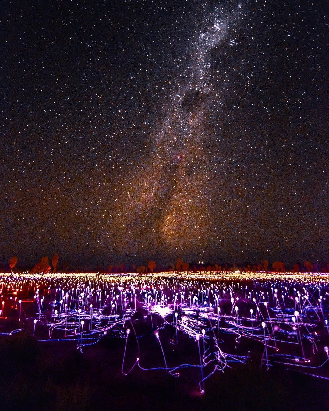 Chan Brothers Australia Sale Uluru Field of Light