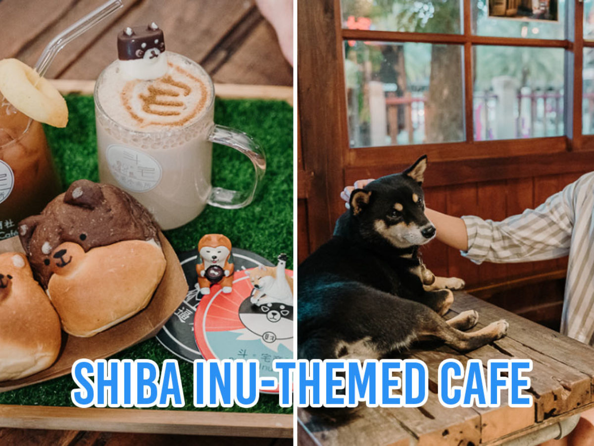 12 Photogenic Cafes In Hualien Taiwan For Coffee And Brunch
