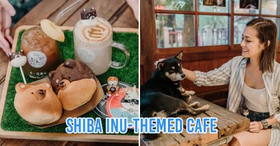 Shiba Inu themed cafe in Hualien