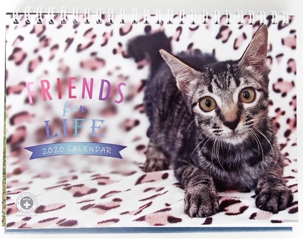 animal charity calendars SPCA