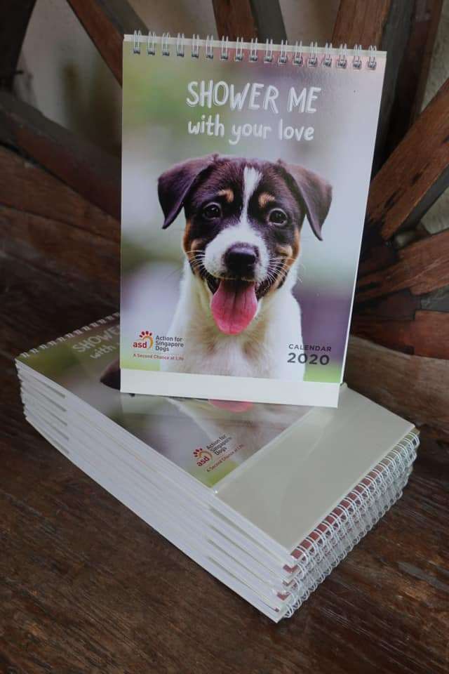 animal charity calendars action for singapore dogs