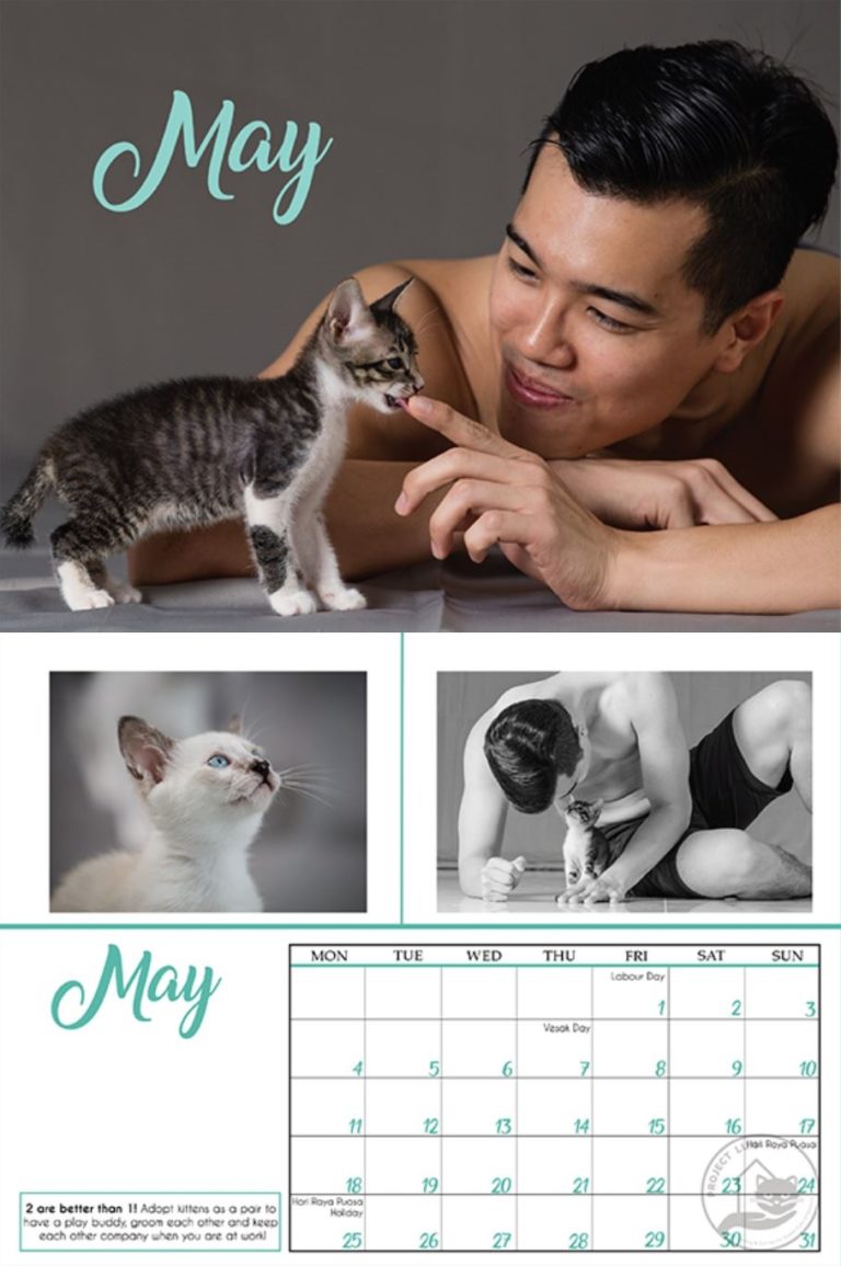 8 Cute Animal Charity Calendars From Pet Shelters In Singapore To