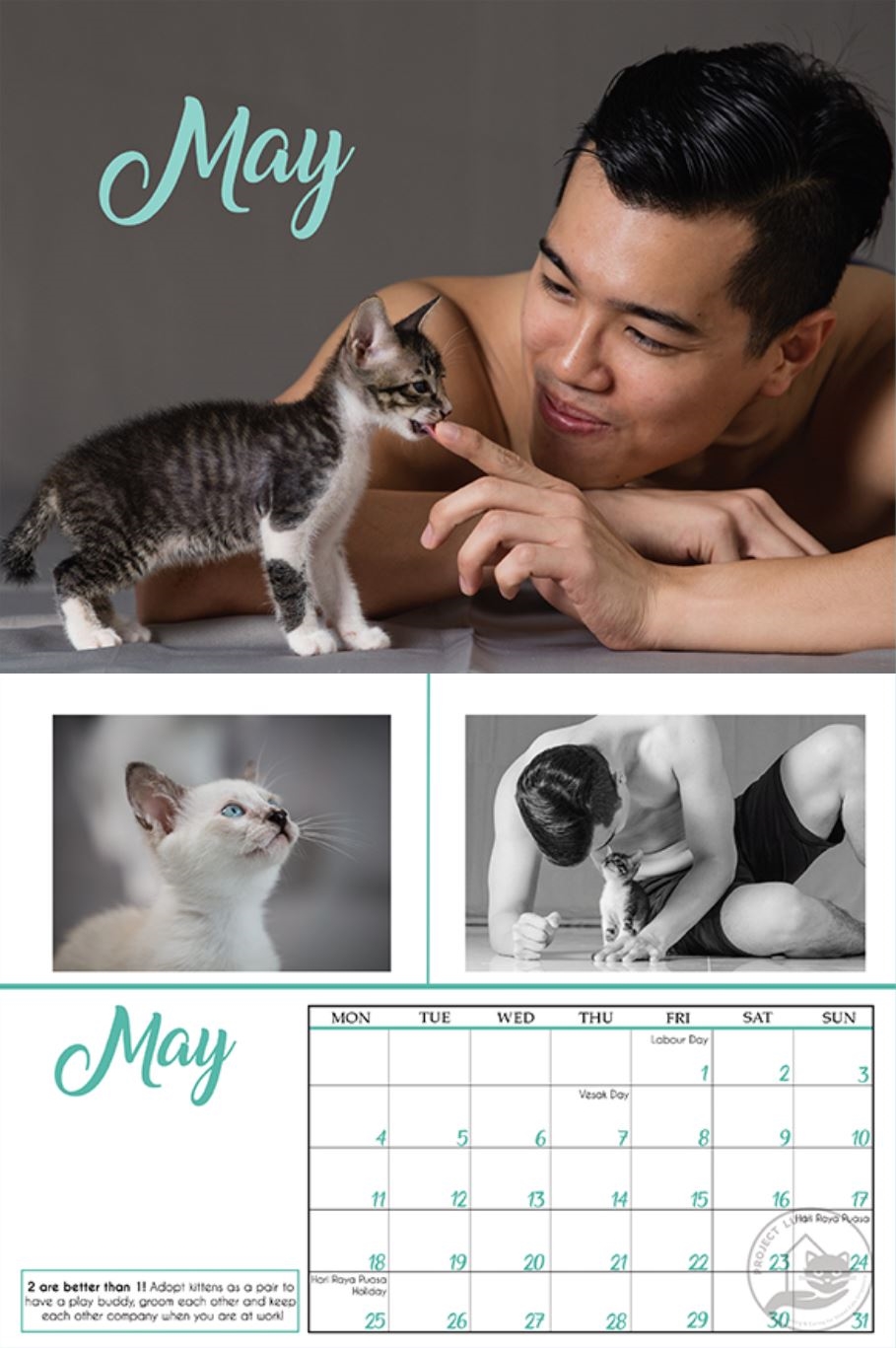 animal charity calendars luni