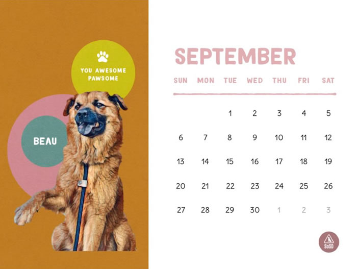 animal charity calendars dog