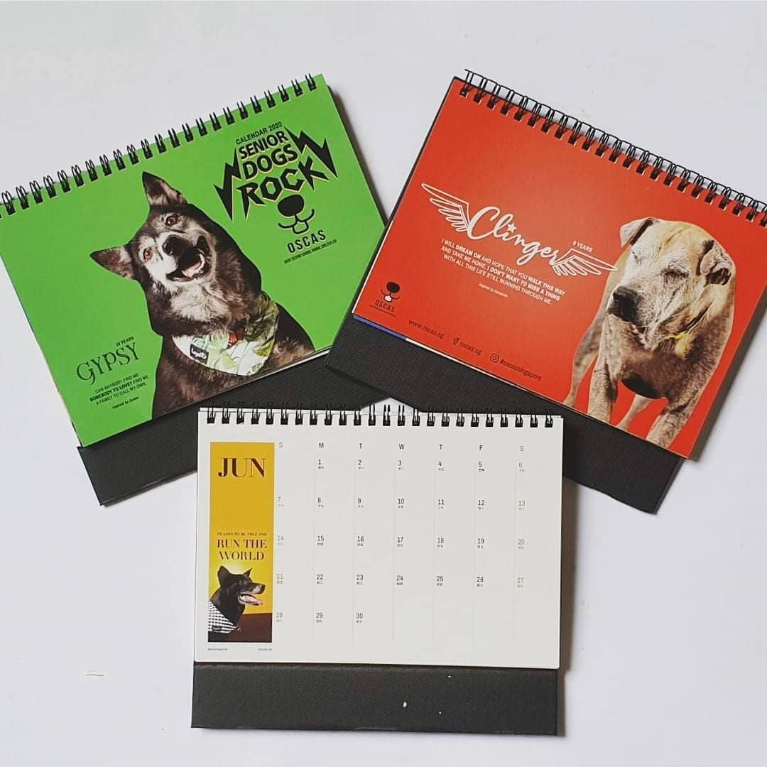 animal charity calendars OSCAS