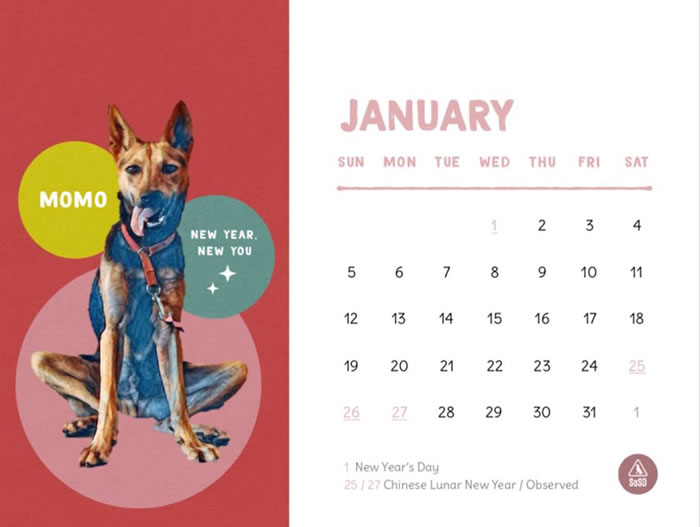animal charity calendars pun
