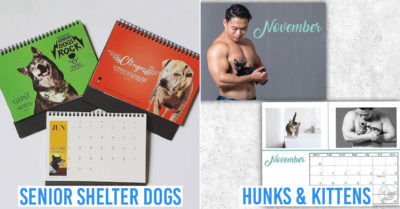 animal charity calendars