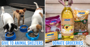 giving week 2019 - collage of animal shelter and groceries