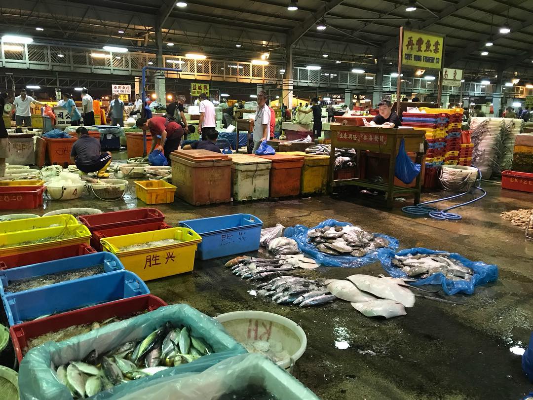 101 things to do in Singapore Senoko Jurong Fishery Port