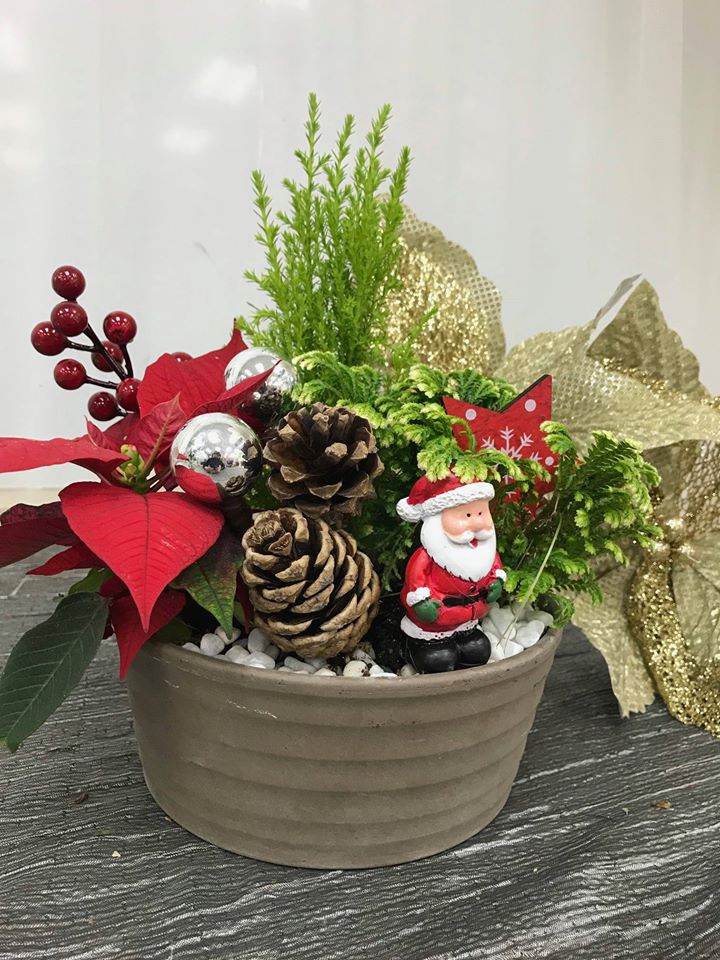 places to buy cheap christmas tree in singapore - ji mei flower