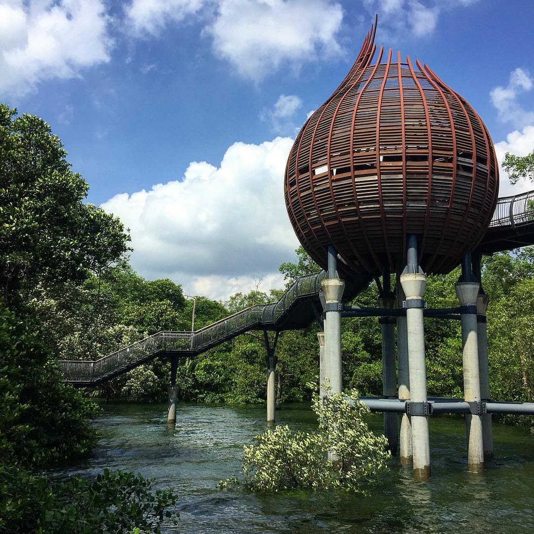 101 things to do in Singapore Sungei Buloh Wetland Reserve