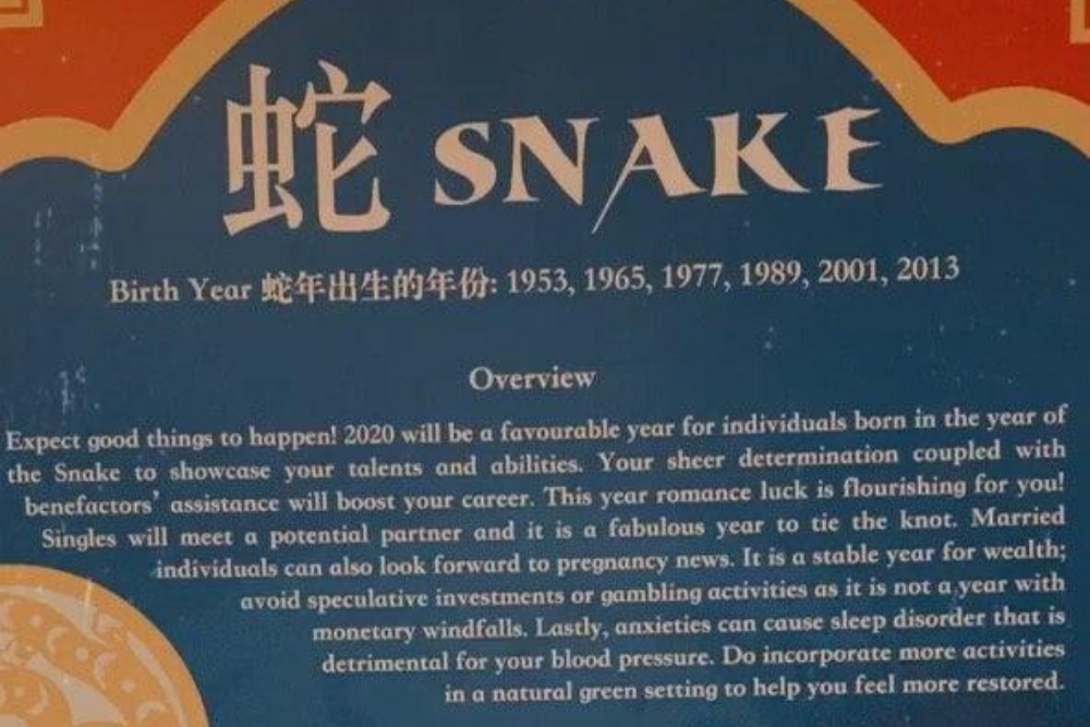 cny zodiac snake