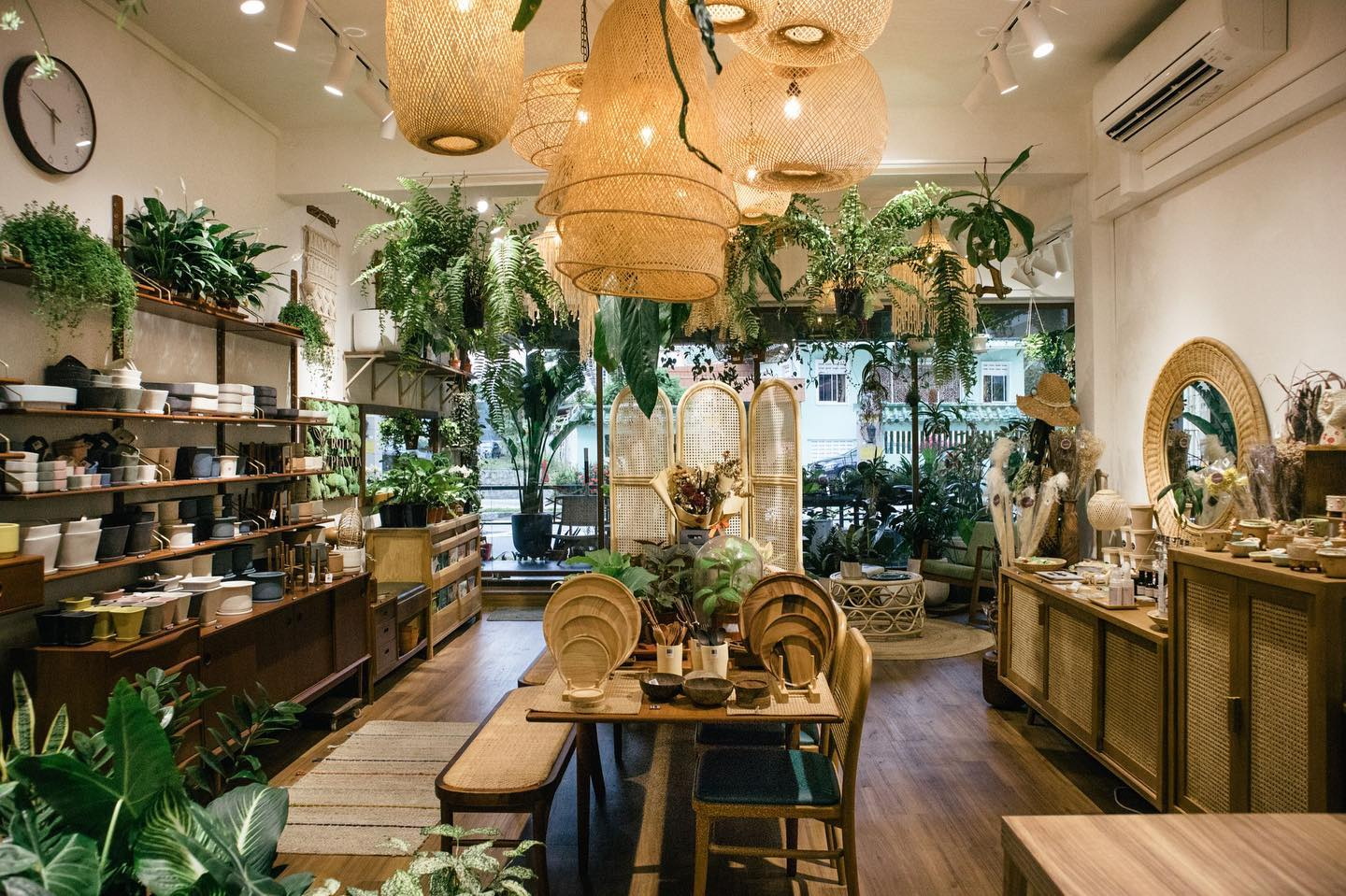 9 Boutique Plant Shops In Singapore With Aesthetic Plants & Accessories To Give Your HDB Jungalow Vibes