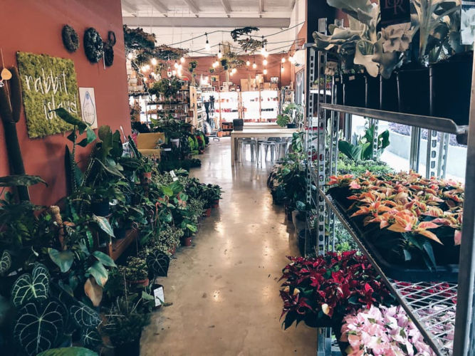 8 Boutique Plant Shops In Singapore To Get Artisanal Pots & Rare Plants