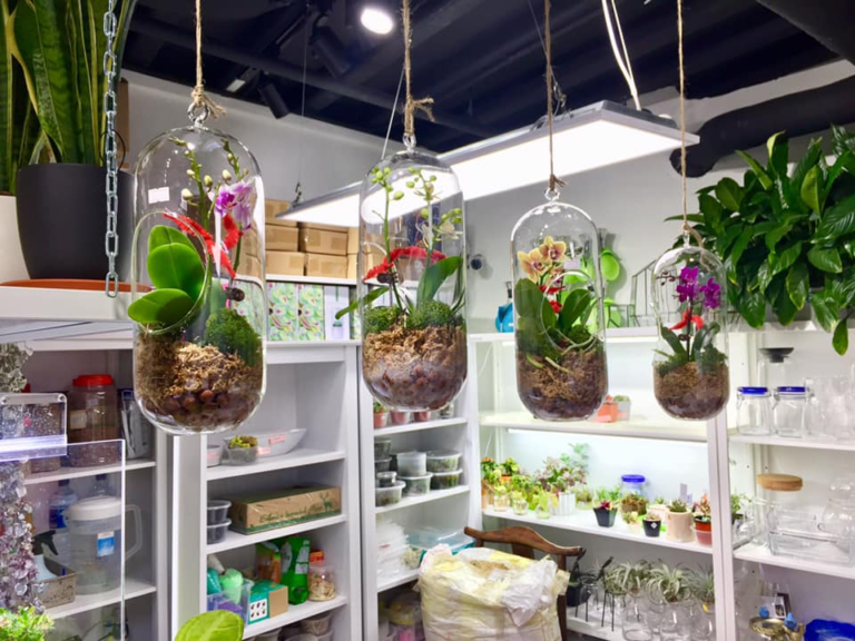 9 Boutique Plant Shops In Singapore With Aesthetic Plants & Accessories