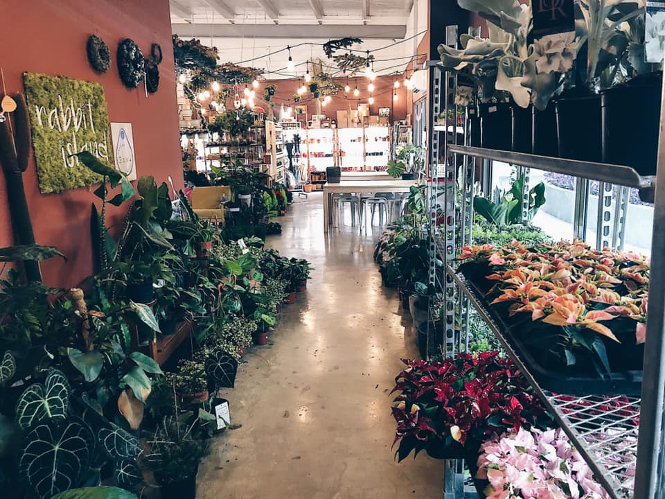 8 Boutique Plant Shops In Singapore To Get Artisanal Pots & Rare Plants