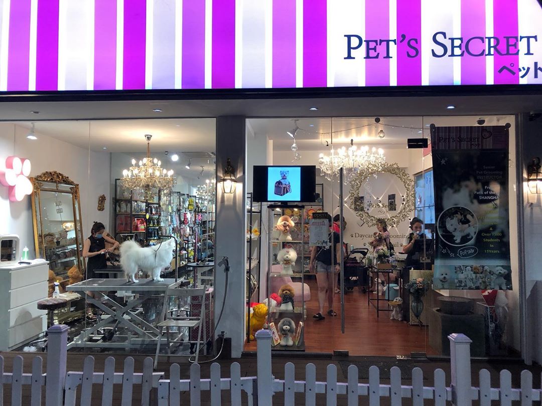 Pet grooming in Singapore - Pet's Secret