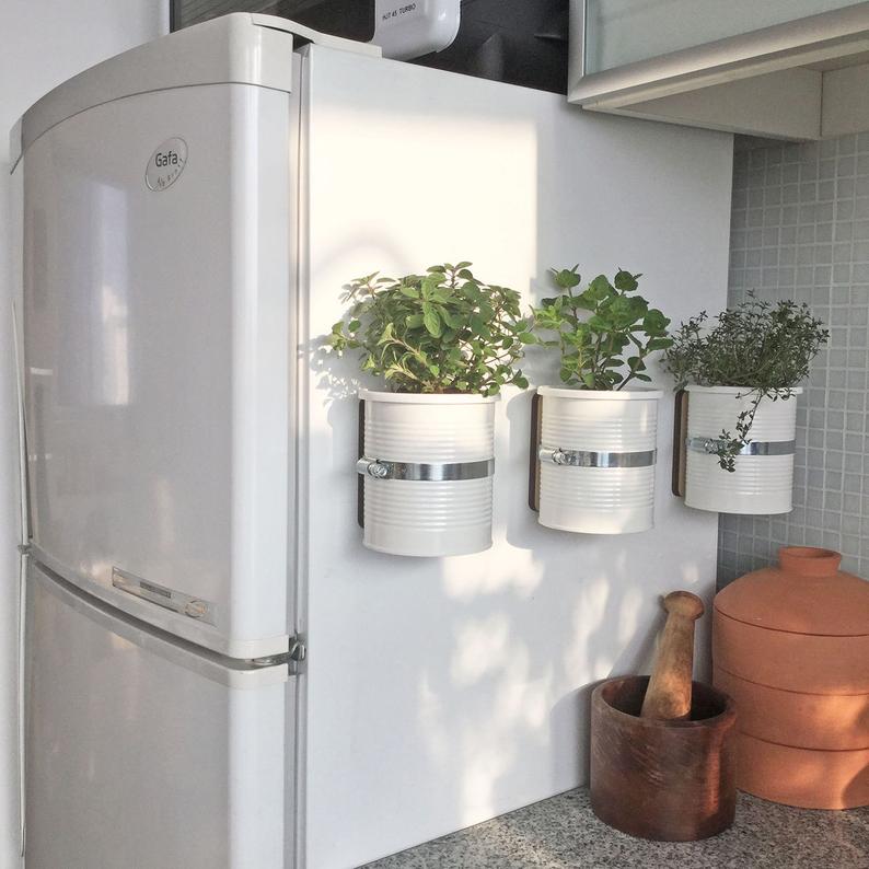 herbs and plants on a fridge