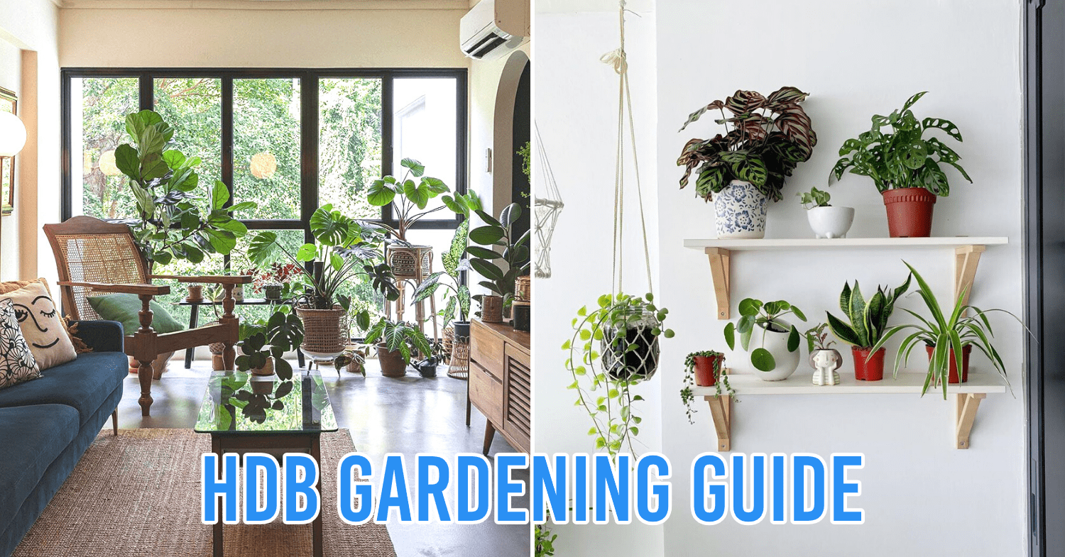 Urban Farming A First Timer S Guide To Starting Your Own Garden