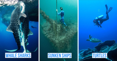 scuba diving indonesia