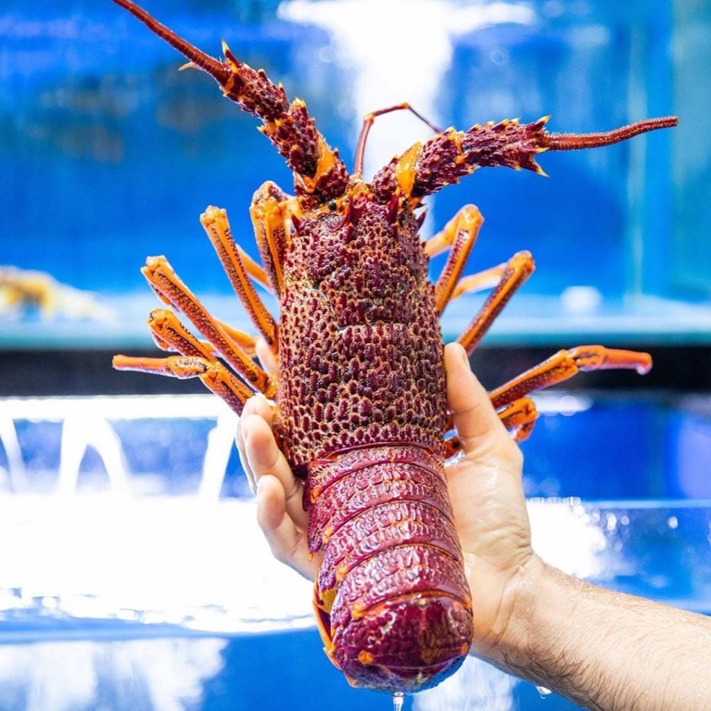 8 Fresh Seafood Delivery Services for Busy Singaporeans