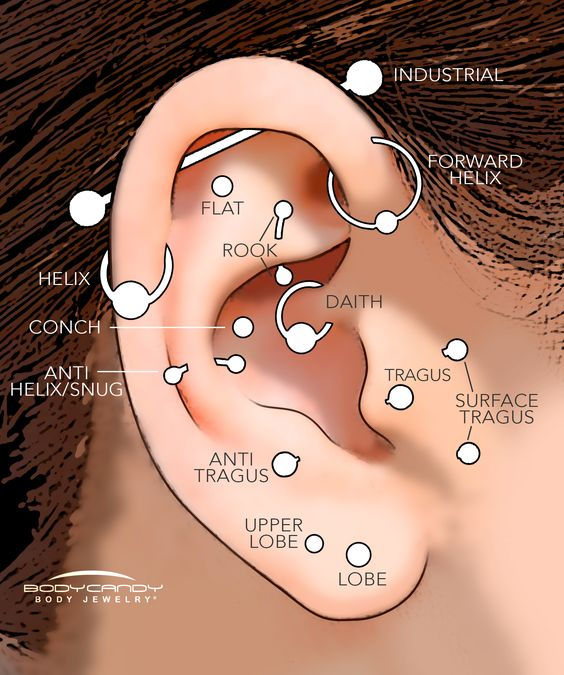 Guide To Ear Piercings: Types 
