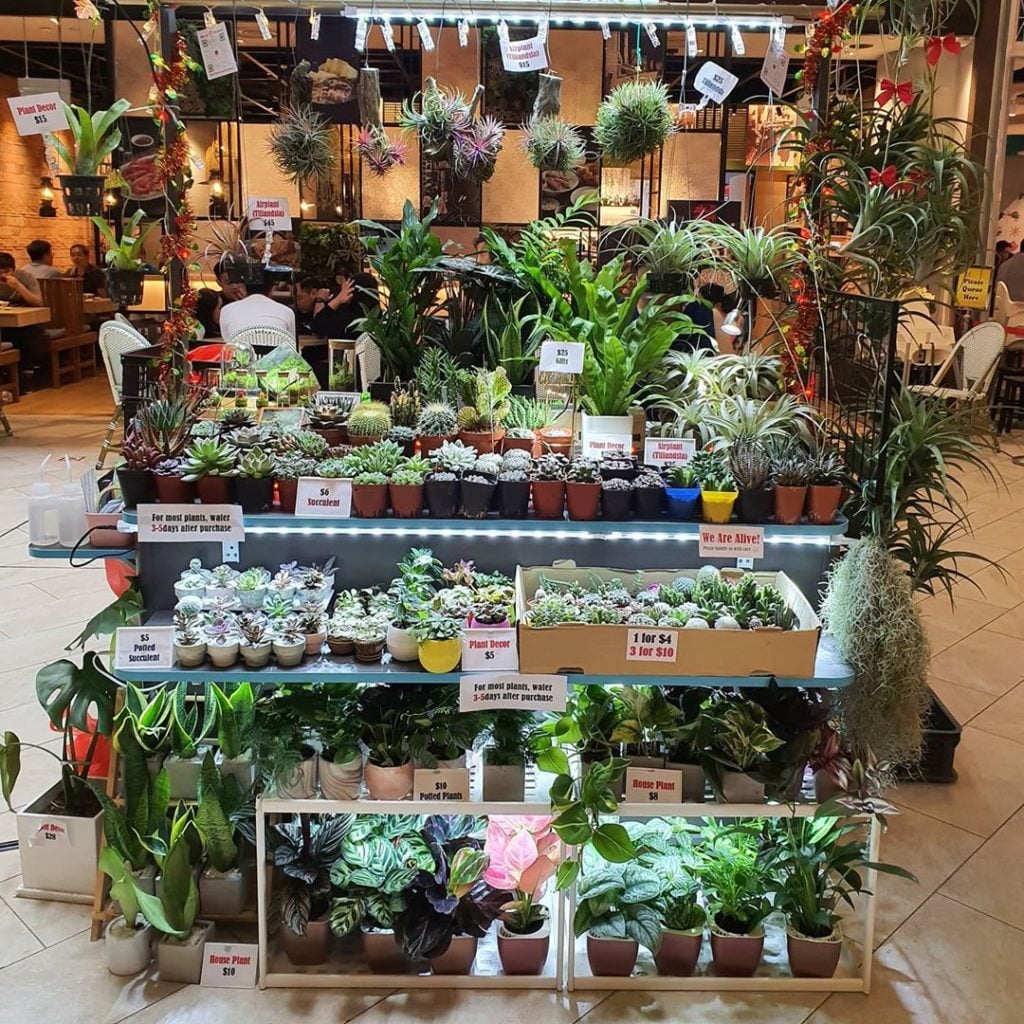 13 Plant Nurseries In Singapore For All Your Gardening Needs Sorted By ...