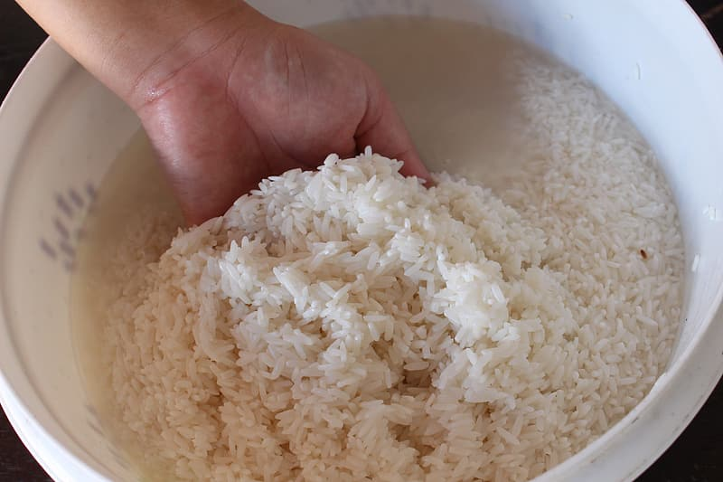 reusing rice - tips for sustainable living