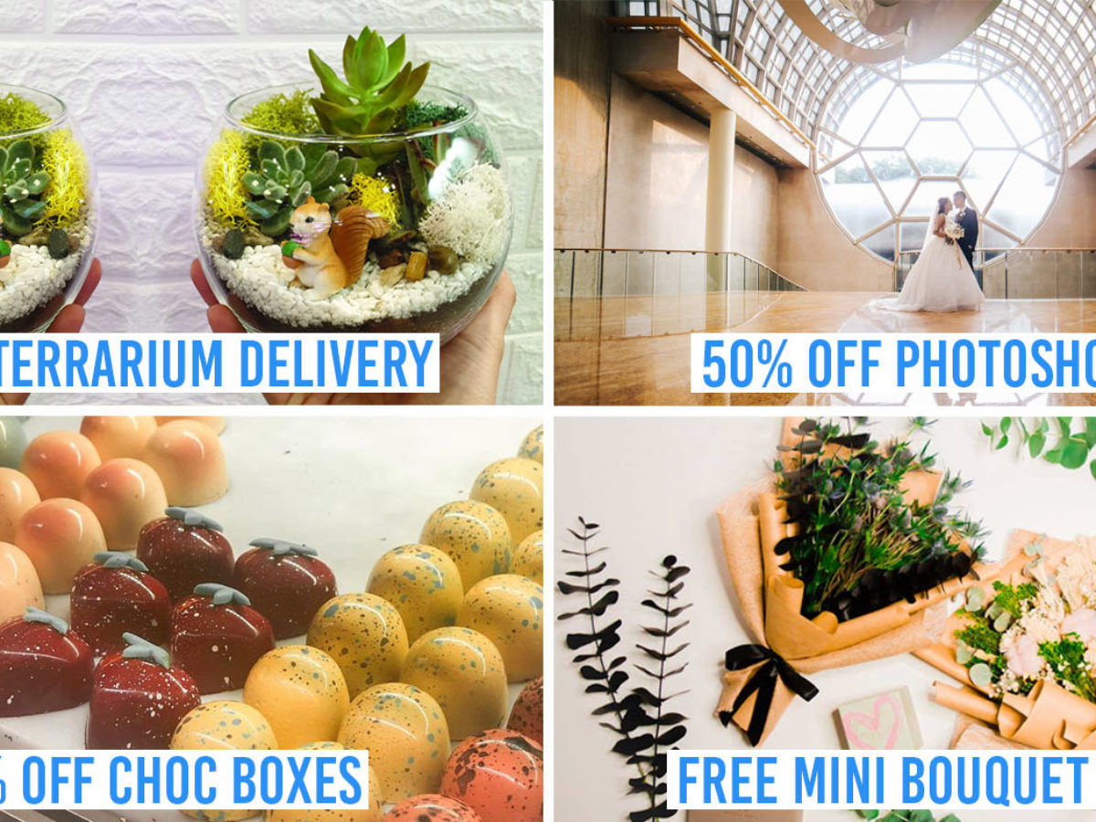 14 Sme Businesses To Support With Discounts From Photography To Diy Terrarium Kits