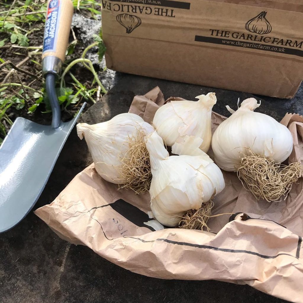 10 Longest Lasting Vegetables To Maximise Savings & Prevent Wastage